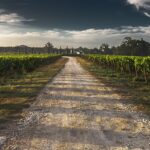 弟子一人も持たずの御心