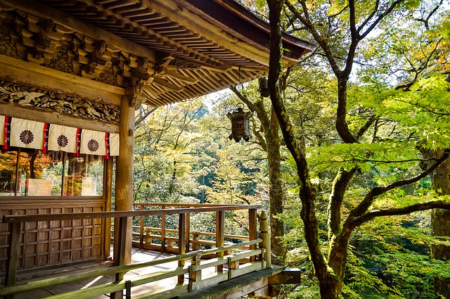 お寺は本来どんなところ 人気のお寺 さみしいお寺の分かれ道 １から分かる親鸞聖人と浄土真宗